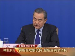 王毅谈中印关系，龙象共舞是正确选择