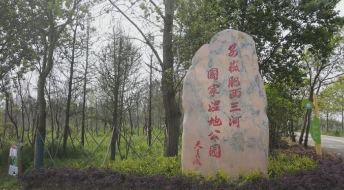 三河绿地的生态之旅与都市魅力