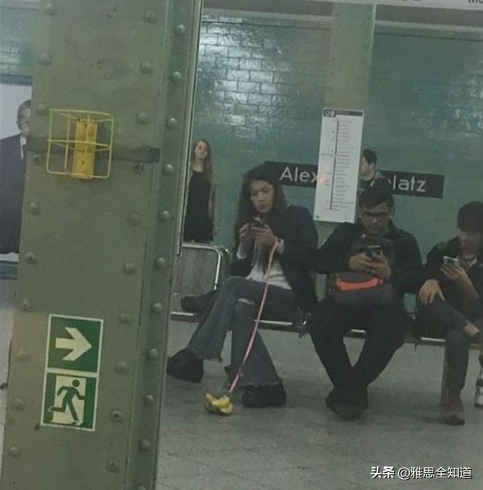 男子地铁做怪异行为博流量致伤事件深度解析