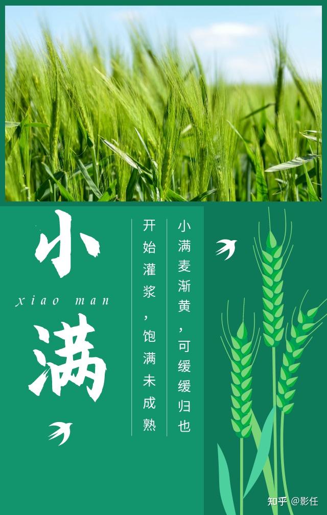 小满遇上521，那些不得不说的情感与收获