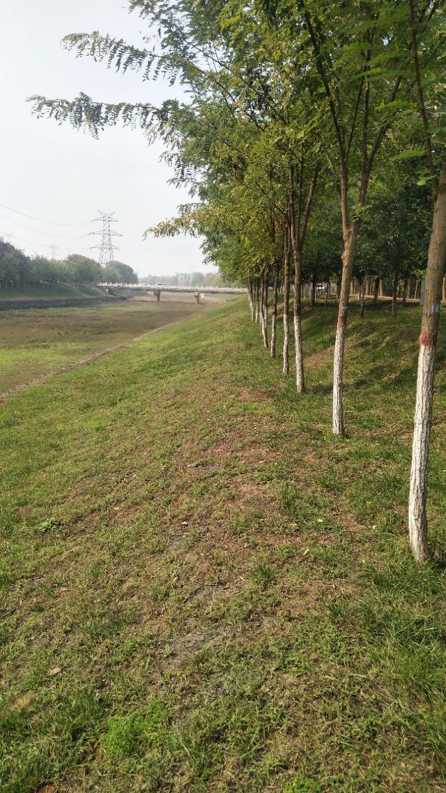 澄清误解，关于南阳农民河道取水被罚5万真相的探究