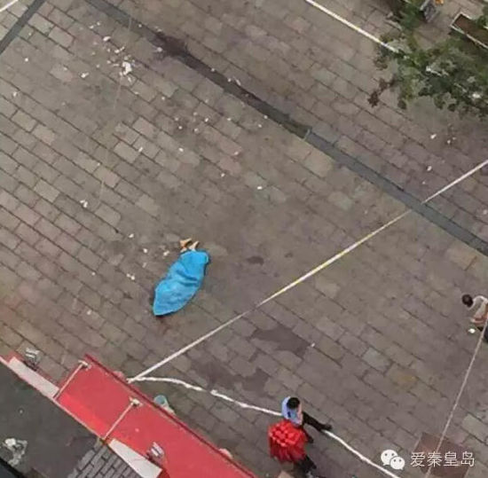 女子坠楼砸死事件深度解析