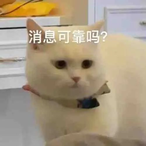 李凯馨发视频回应录音事件，真诚沟通，打破谣言风波