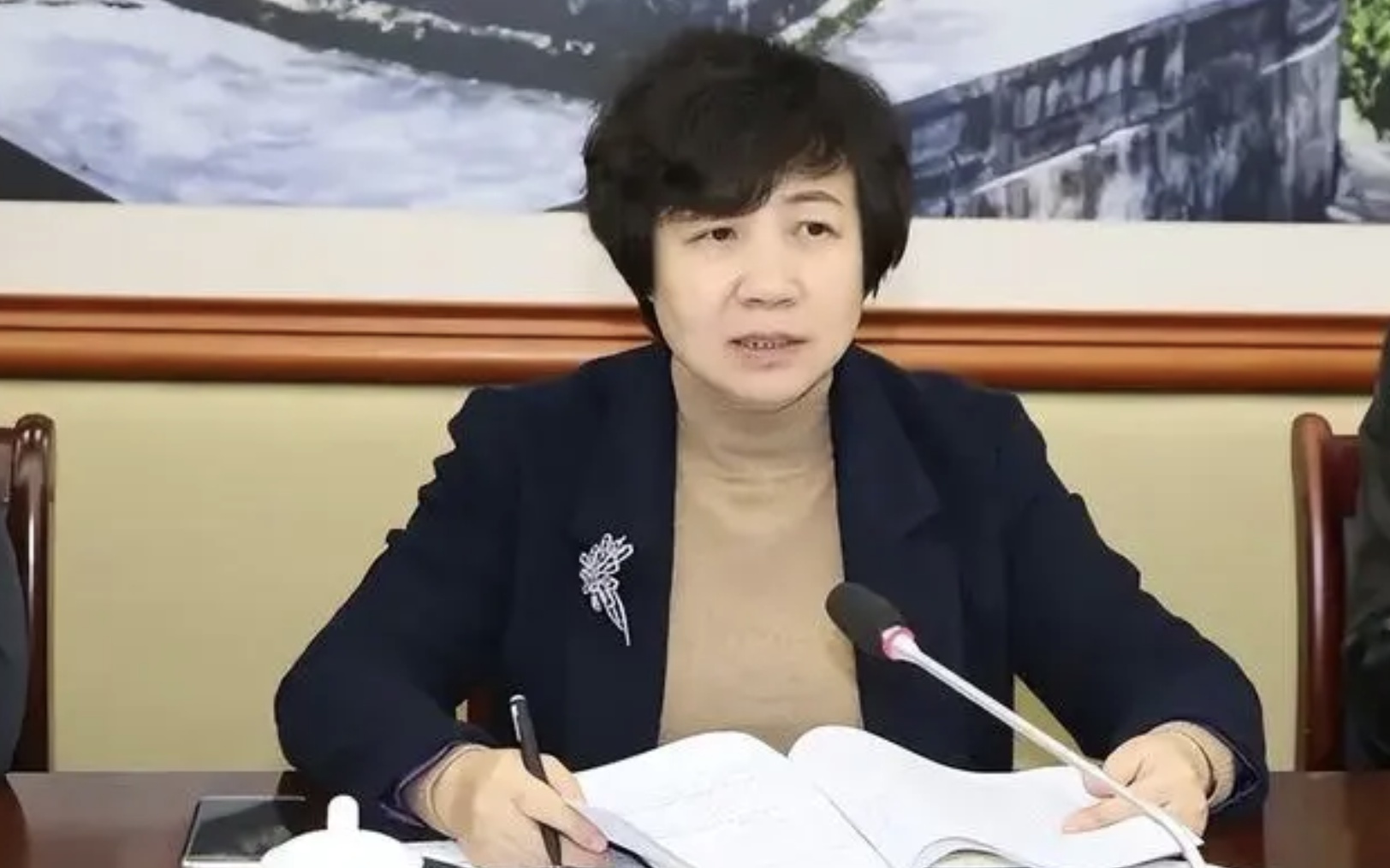 中央巡视期间70岁原正厅级官员刘海芳投案背后的故事