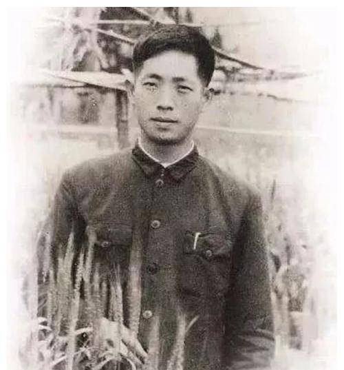 袁隆平夫人背后的故事，一个令人敬仰的名字