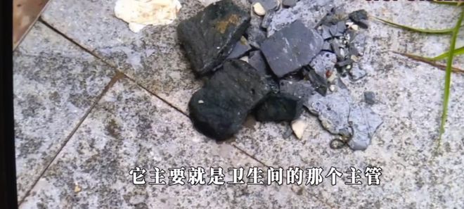 新房遭遇粪水泡预示，解读背后的深层含义