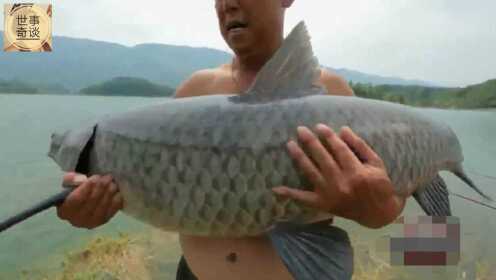 男子钓获大鱼，仔细端详后放生——人与自然和谐共生的故事