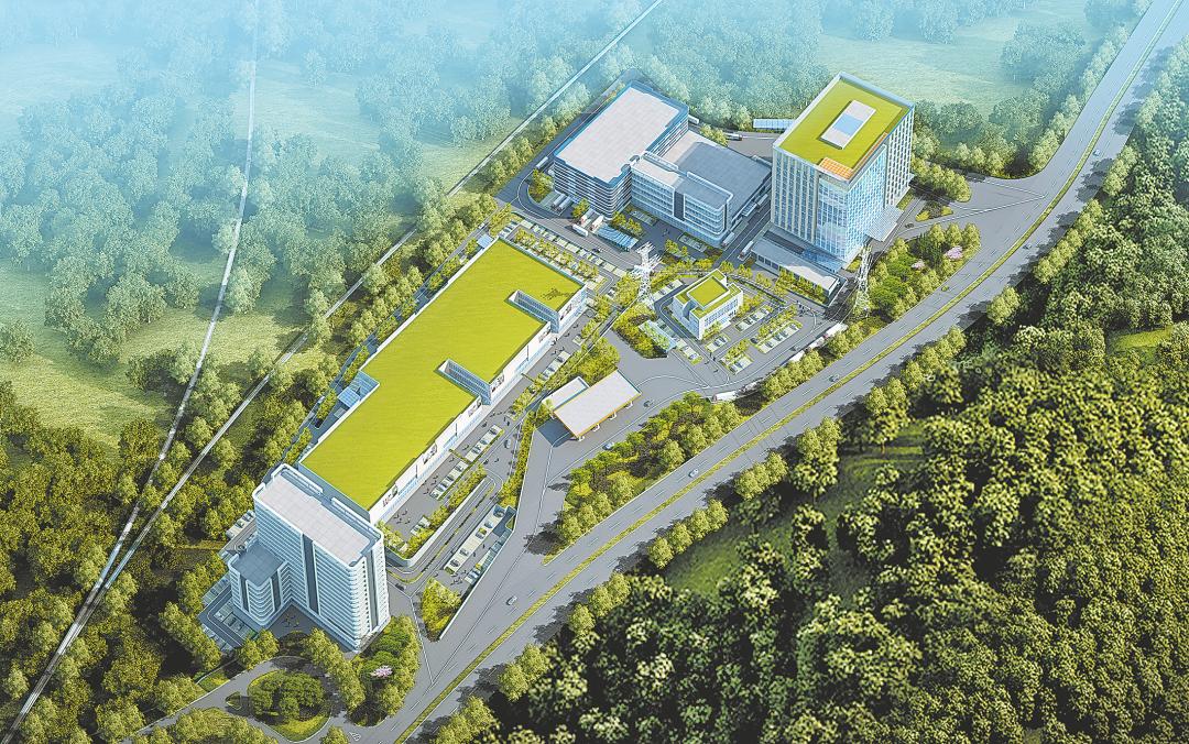 为2025高考加油，冲刺未来的奋斗号角
