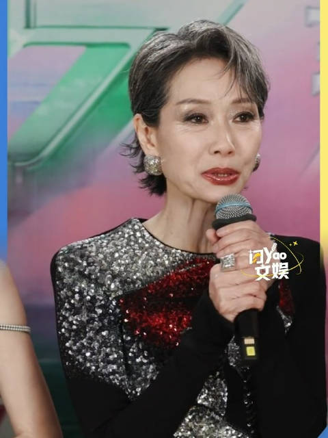 叶童浪姐年度总冠军，荣耀之路与无限可能
