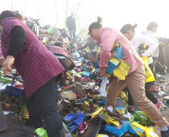 瓜园遭村民哄抢事件，反思与探讨