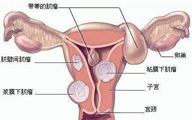 第236页