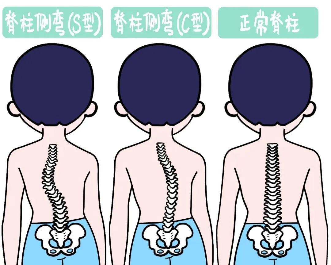 第196页
