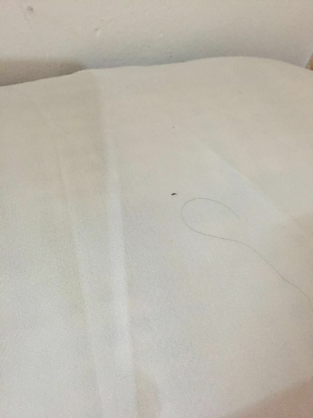 第533页