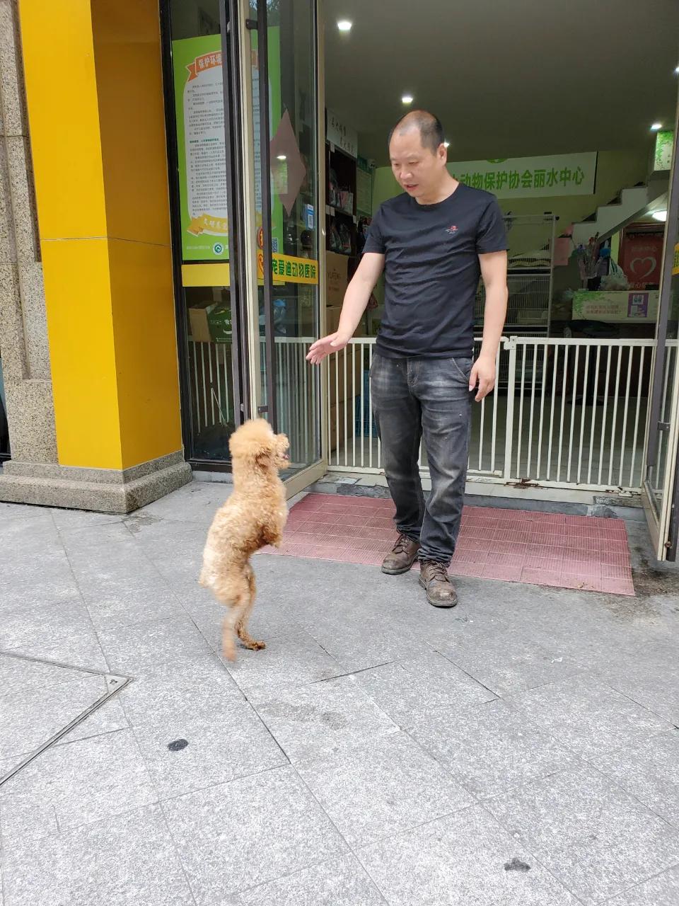 逆境重生，双腿断了的故事
