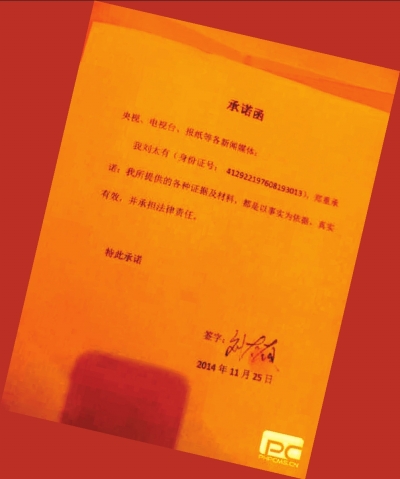 河南省人大代表实名举报事件深度解析