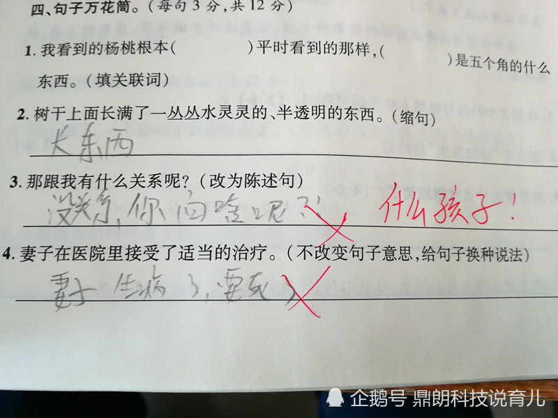 成都一老师在地铁上批改试卷，敬业的力量，点亮城市的光芒