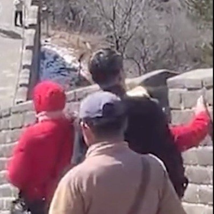 长城下的尴尬，日本男女不雅行为引发社会热议