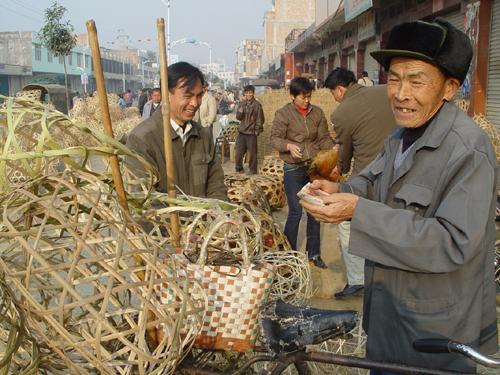 喂别人的小鸡划算吗？关于小鸡喂养的利弊分析