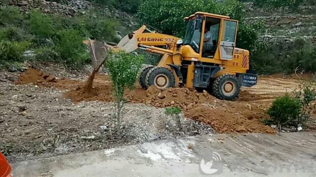 啄木鸟行动方案，打造生态和谐新篇章