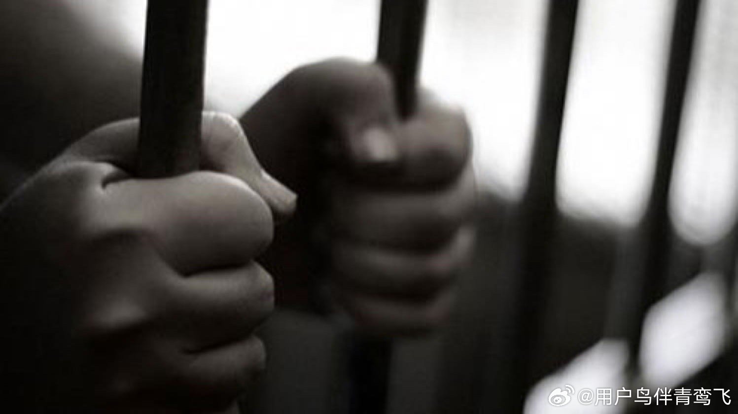 男子出卖大量国家秘密被判死刑，警示与反思