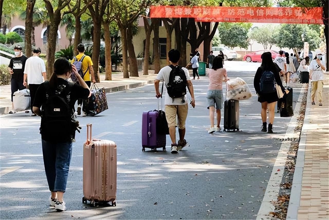 一高校女生疑似校内产子事件，深度分析与反思
