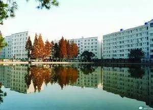 武汉大学就读知乎，我的大学生活体验分享