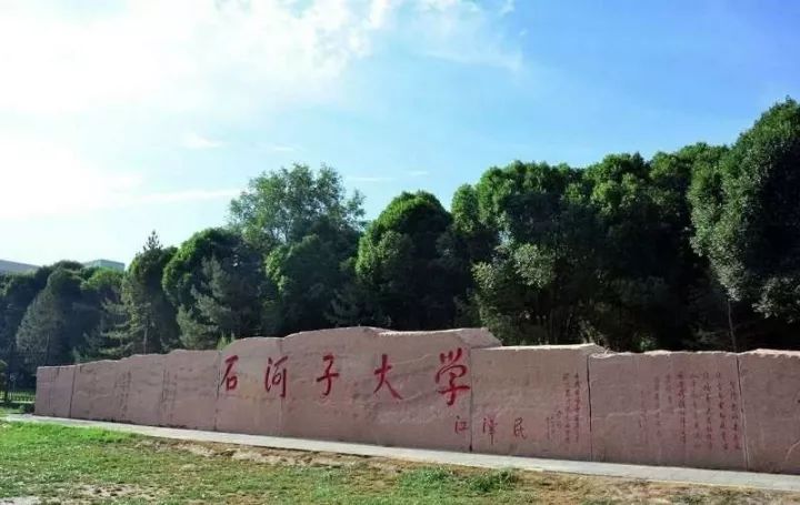 武汉大学就读知乎，我的大学生活体验分享