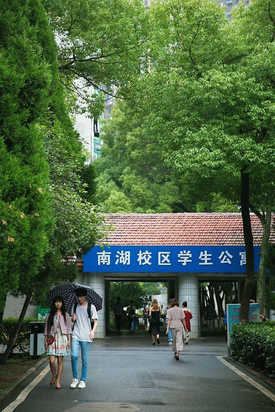 武汉大学，历史底蕴与现代风采的完美融合