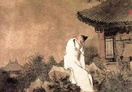 苗二哥最新消息，探寻网络红人苗二哥的最新动态与成长轨迹
