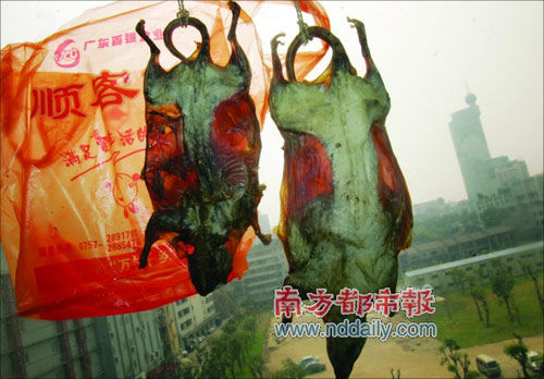 广东多家店铺惊现鼠肉干，售价高达150元一斤，引发社会热议