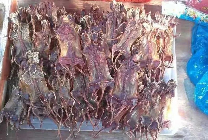 广东多家店铺惊现鼠肉干，售价高达150元一斤，引发社会热议