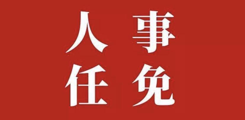揭秘河南省财政局局长姓名背后的故事