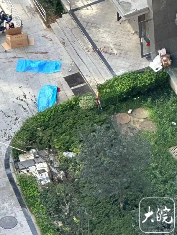 一小区两名孩子坠楼身亡，悲剧背后的深思