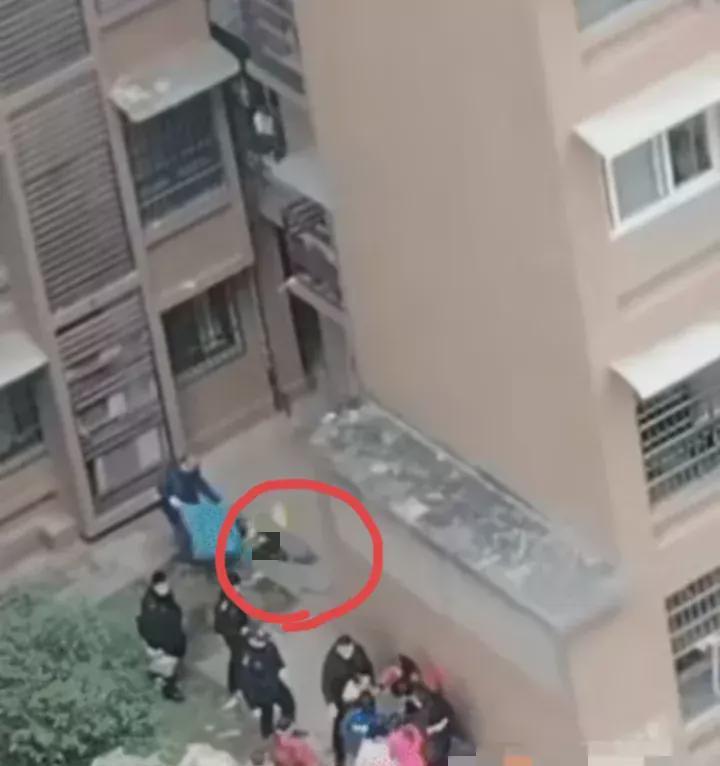 一小区两名孩子坠楼身亡，悲剧背后的深思
