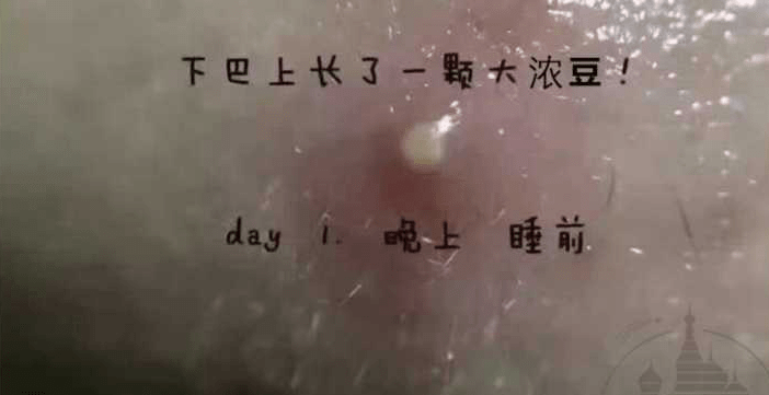 博主评我的后半生，深度解析与感悟