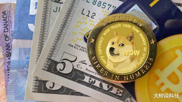 马斯克，DOGE让我付出了巨大代价