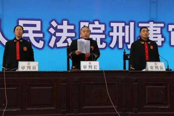 河南法官被判刑事件深度解析
