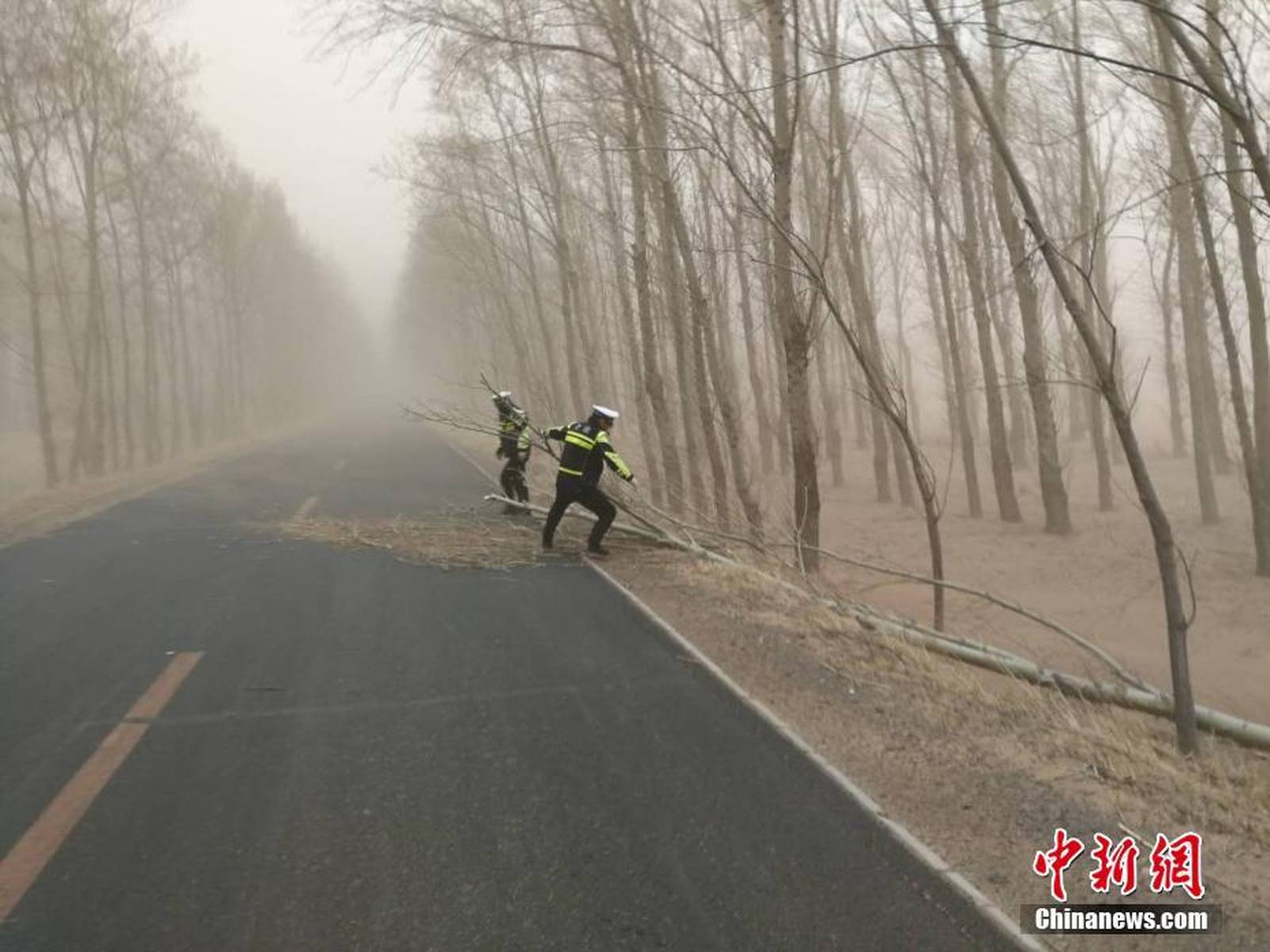 内蒙古遭遇罕见风暴，11级大风的破坏与应对