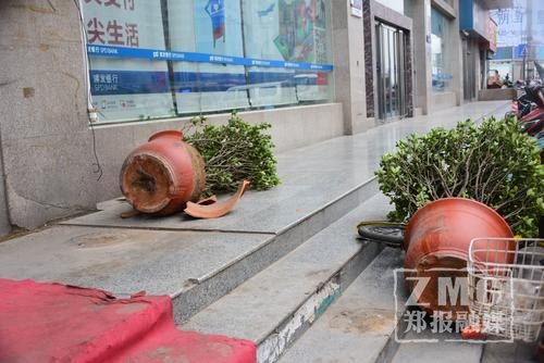 河南遭遇罕见14级大风，天灾面前的挑战与应对