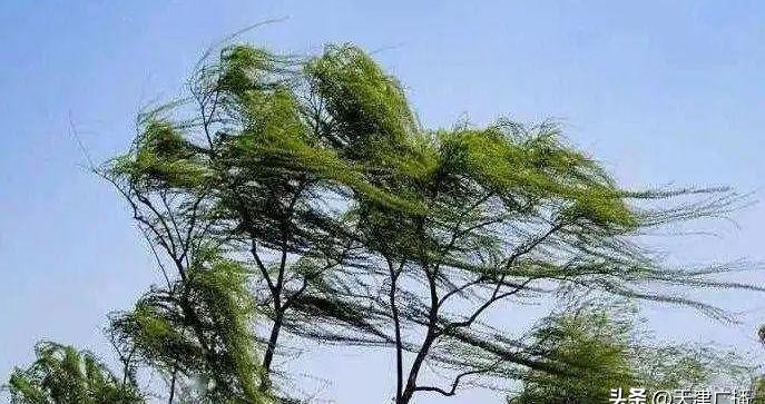 大风什么时候结束，一场自然现象的深度解析