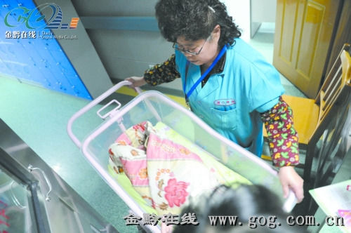 收养女婴十年仍黑户，挑战与希望并存