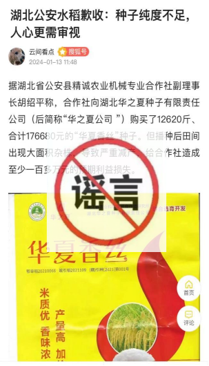 重磅！10起网络谣言案公布，揭示真相背后的力量