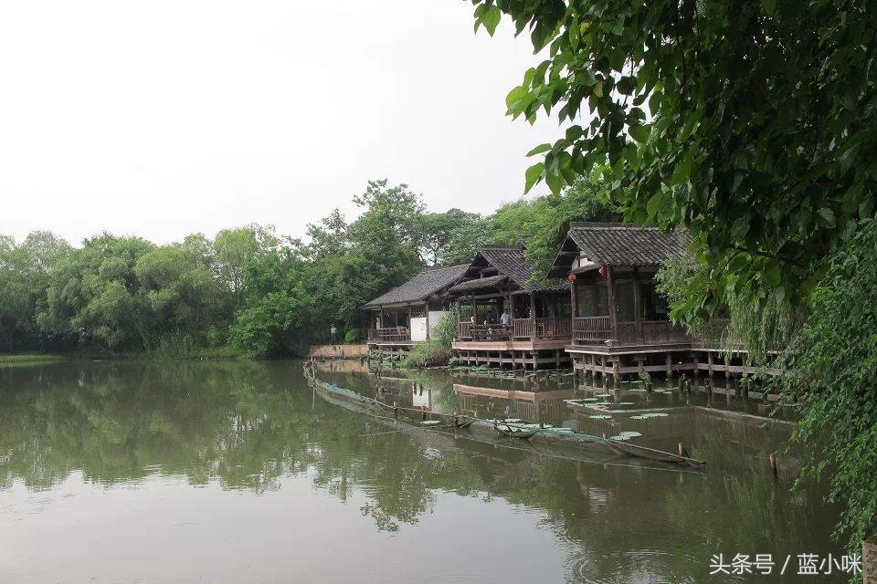 外婆家门前的竹林