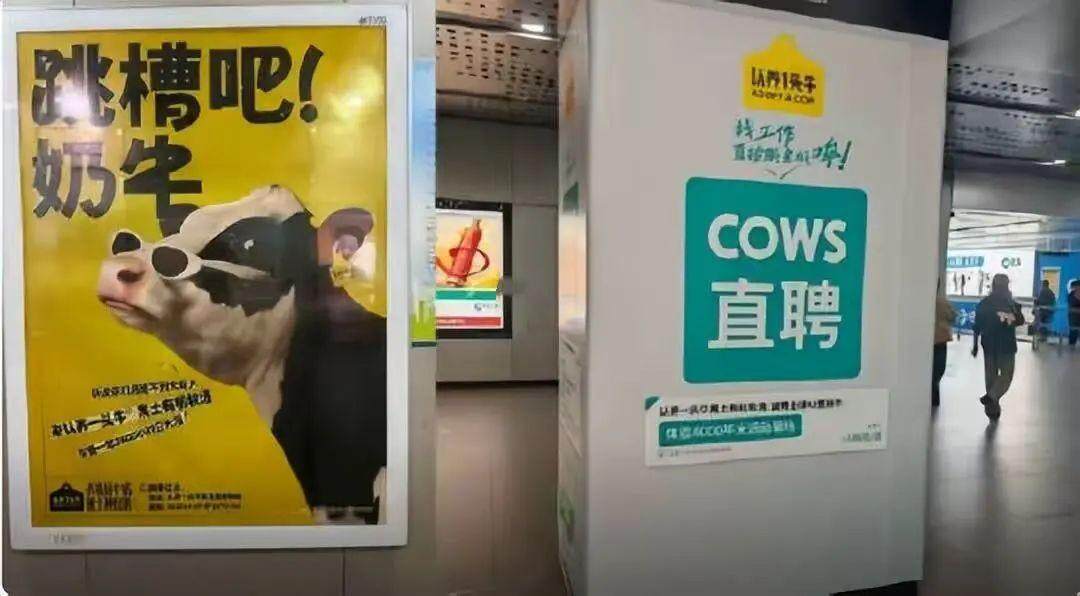 认养一头牛广告被指嘲讽打工人