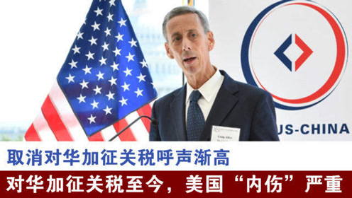 美国对华加征关税的影响与反思