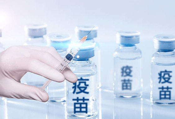 一、引言，悲剧的发生
