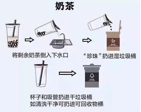 不属于棘轮分类的是——探索未知领域的新视角