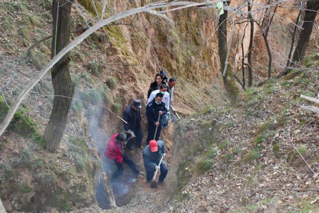 日本老人被扔下悬崖事件深度解析