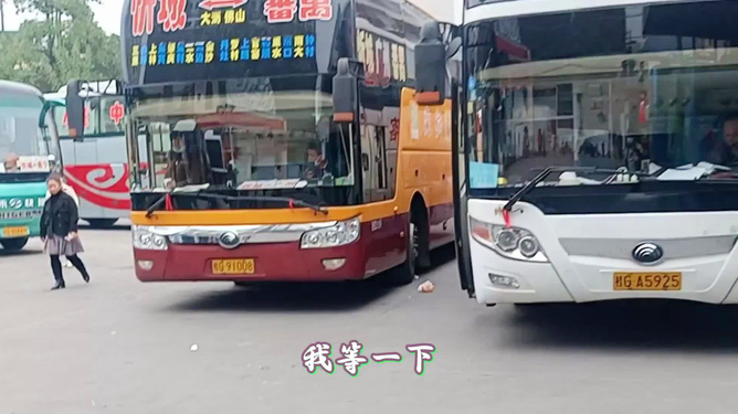 关于广西南宁开通直达拉萨动车的传闻——真相解析