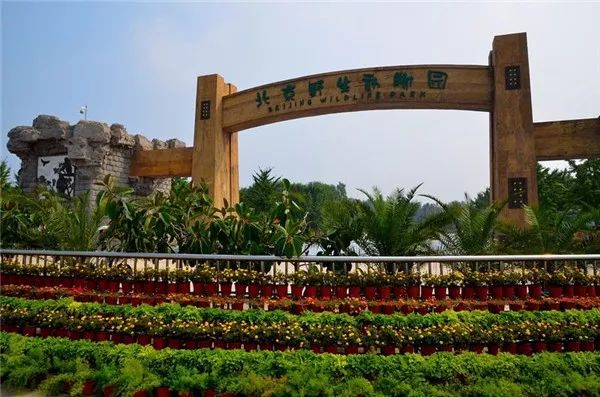 北京野生动物园萌宠乐园，探秘乐园中的动物魅力